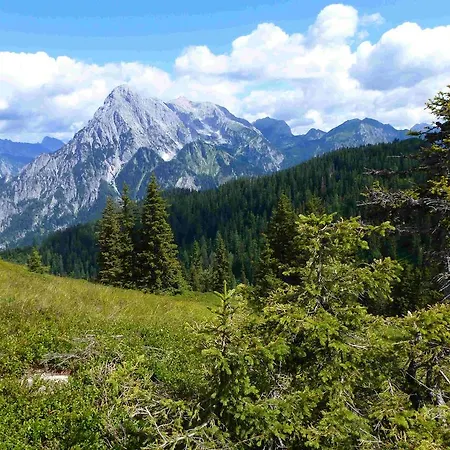 Hotel Purgschachnerhof Natur- & Wanderhotel 3*